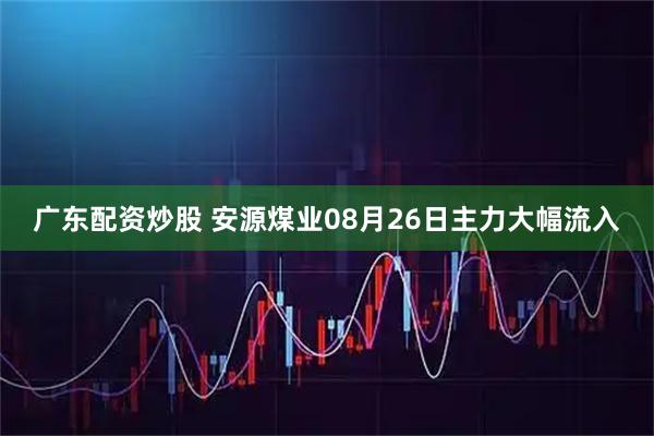 广东配资炒股 安源煤业08月26日主力大幅流入