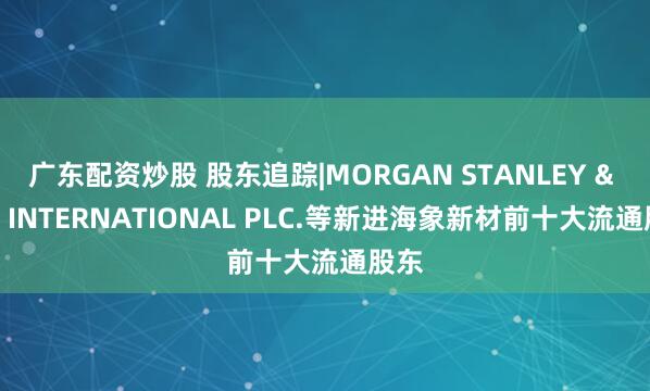 广东配资炒股 股东追踪|MORGAN STANLEY & CO. INTERNATIONAL PLC.等新进海象新材前十大流通股东